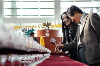 賀蘭山下葡萄酒飄香