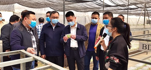 自治區發展改革委定點幫扶都安縣駐村工作隊赴南寧市、百色市開展鄉村振興調研