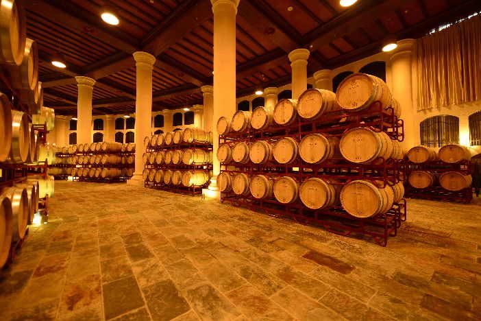 新疆對葡萄酒產業進行調研