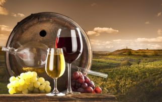 檢驗(yàn)檢疫部門(mén)提醒葡萄酒進(jìn)口商關(guān)注添加劑安全